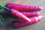 photo of purple carrots